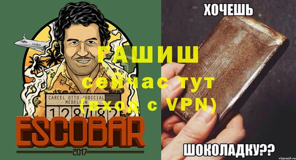 тгк Гусев